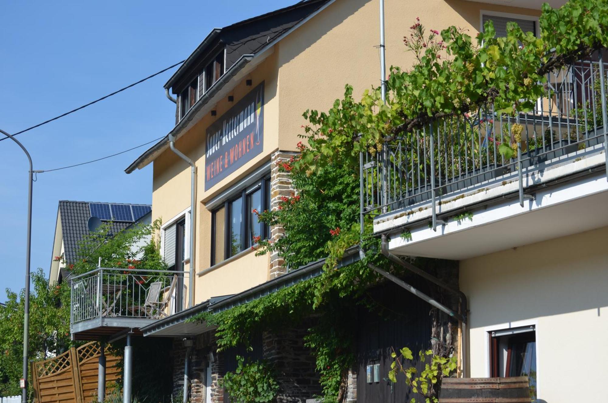 Vila Weingut Sauer-Kettermann Enkirch Exteriér fotografie