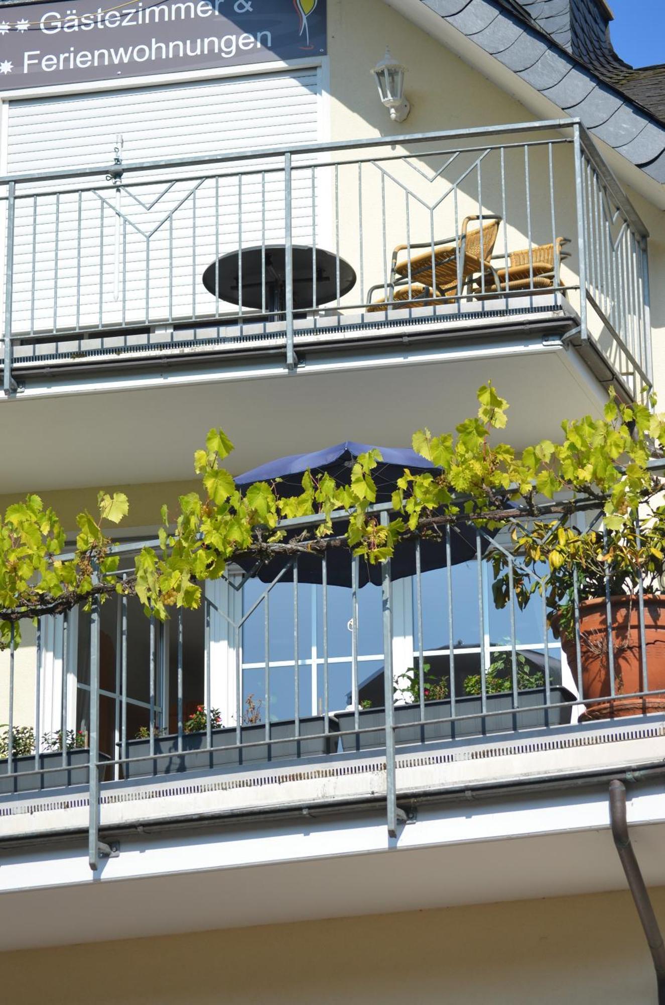 Vila Weingut Sauer-Kettermann Enkirch Exteriér fotografie