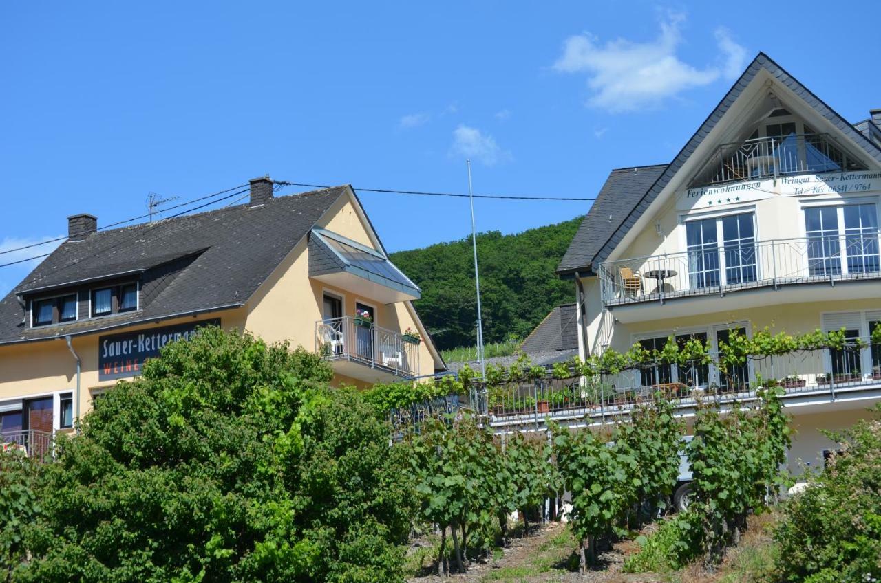 Vila Weingut Sauer-Kettermann Enkirch Exteriér fotografie