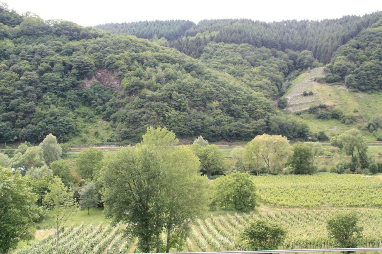 Vila Weingut Sauer-Kettermann Enkirch Exteriér fotografie