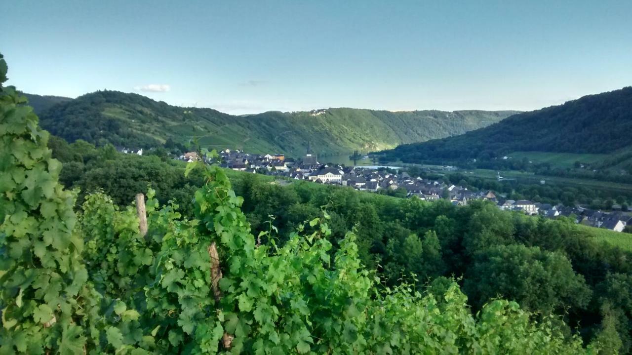 Vila Weingut Sauer-Kettermann Enkirch Exteriér fotografie