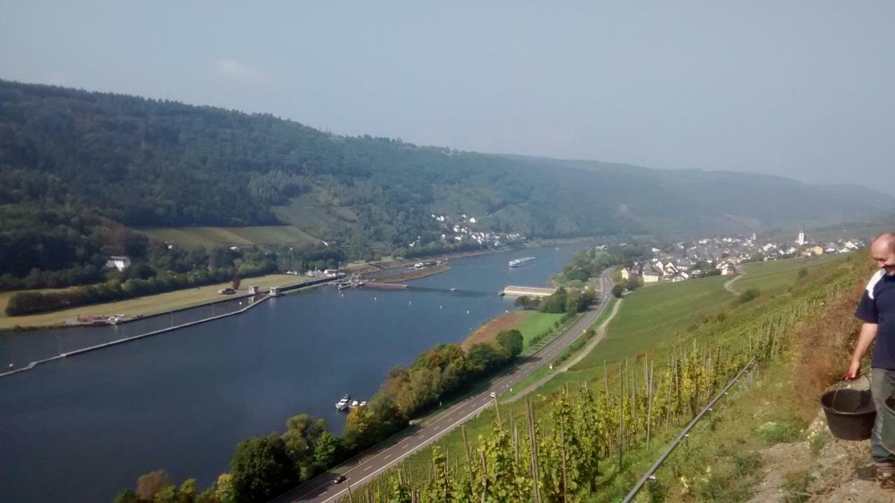 Vila Weingut Sauer-Kettermann Enkirch Exteriér fotografie