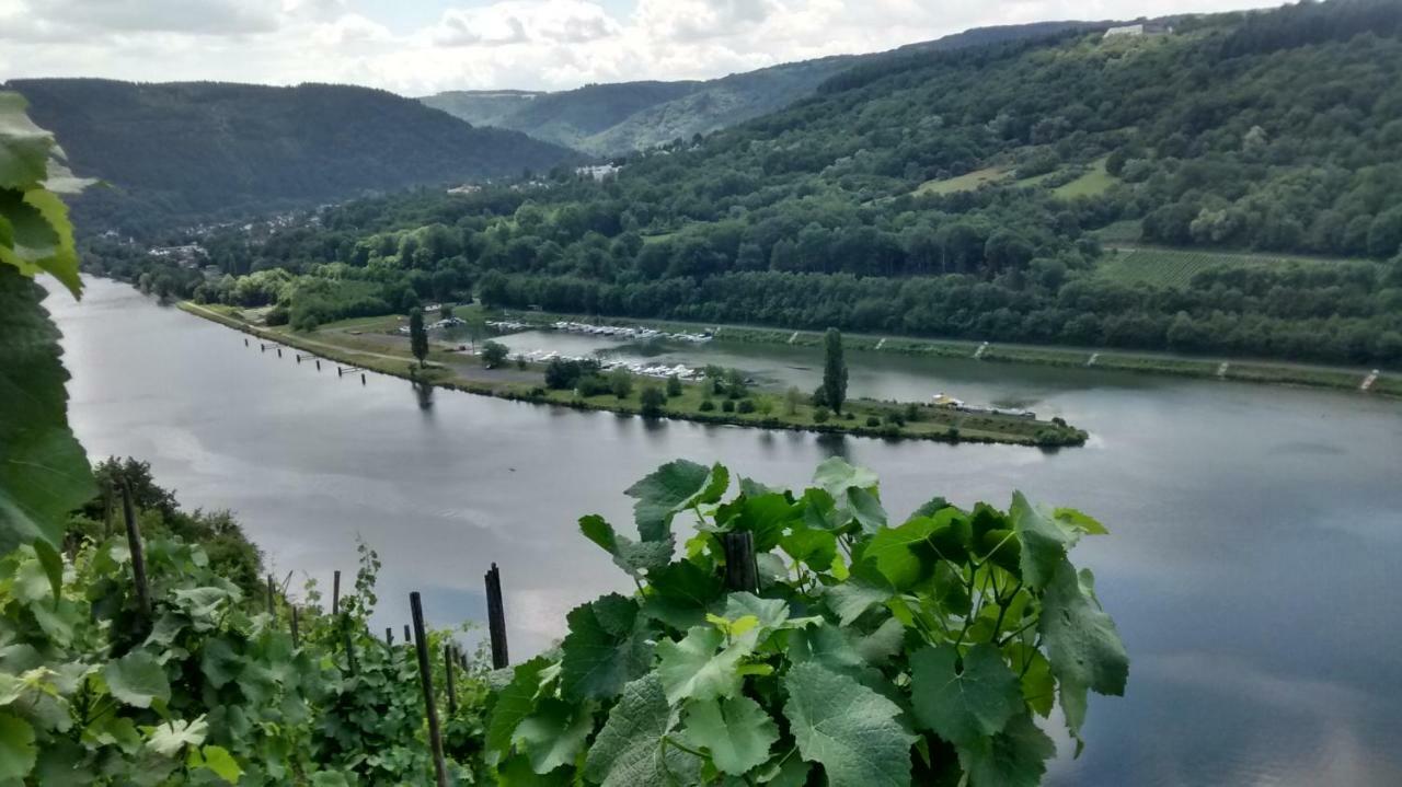 Vila Weingut Sauer-Kettermann Enkirch Exteriér fotografie