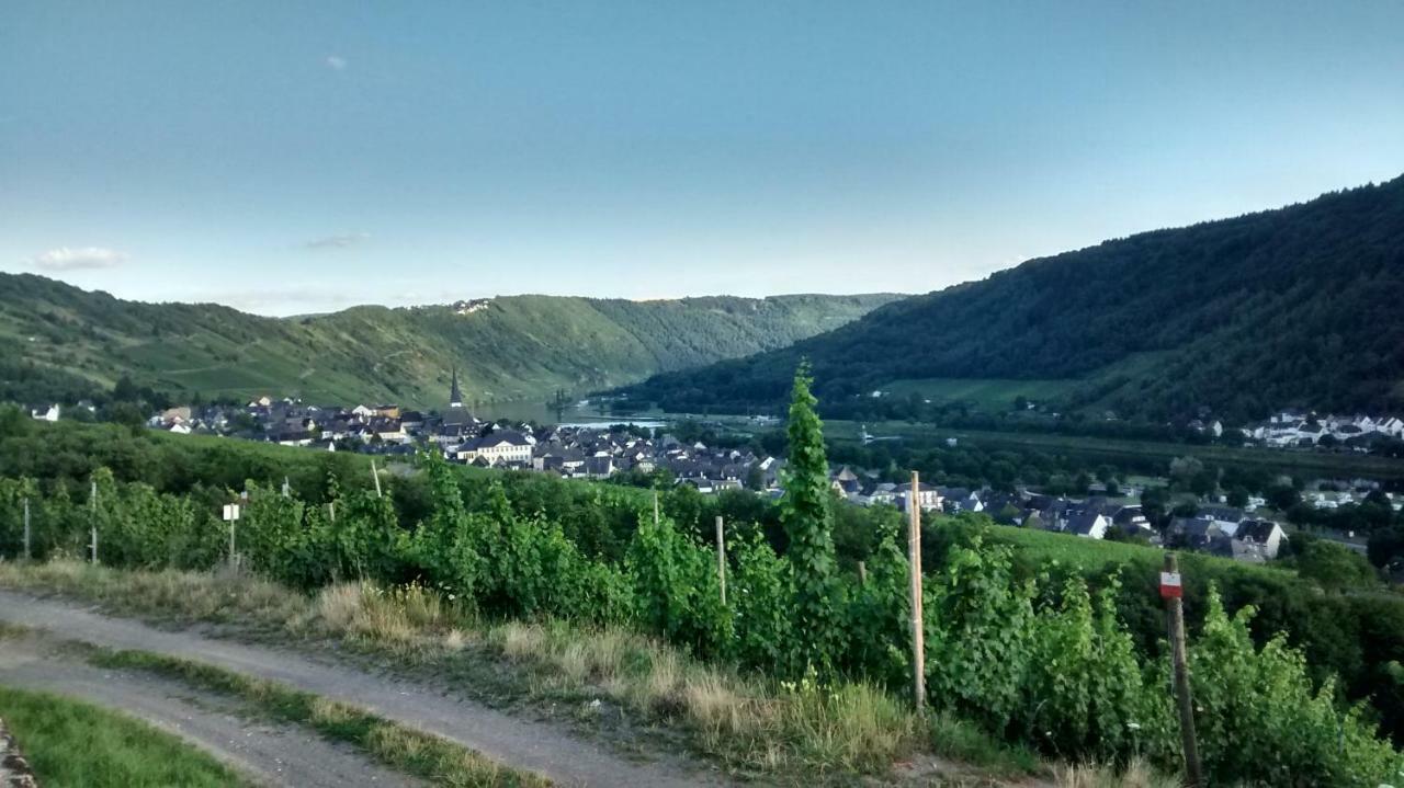 Vila Weingut Sauer-Kettermann Enkirch Exteriér fotografie