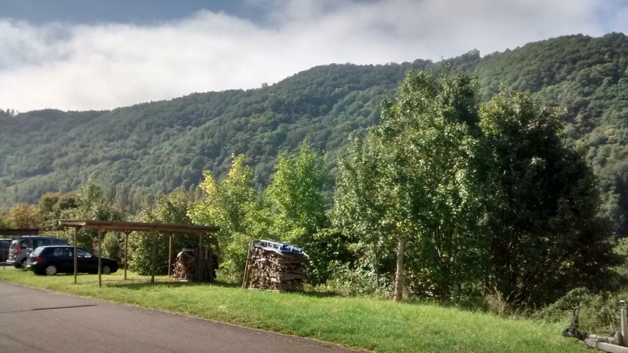 Vila Weingut Sauer-Kettermann Enkirch Exteriér fotografie