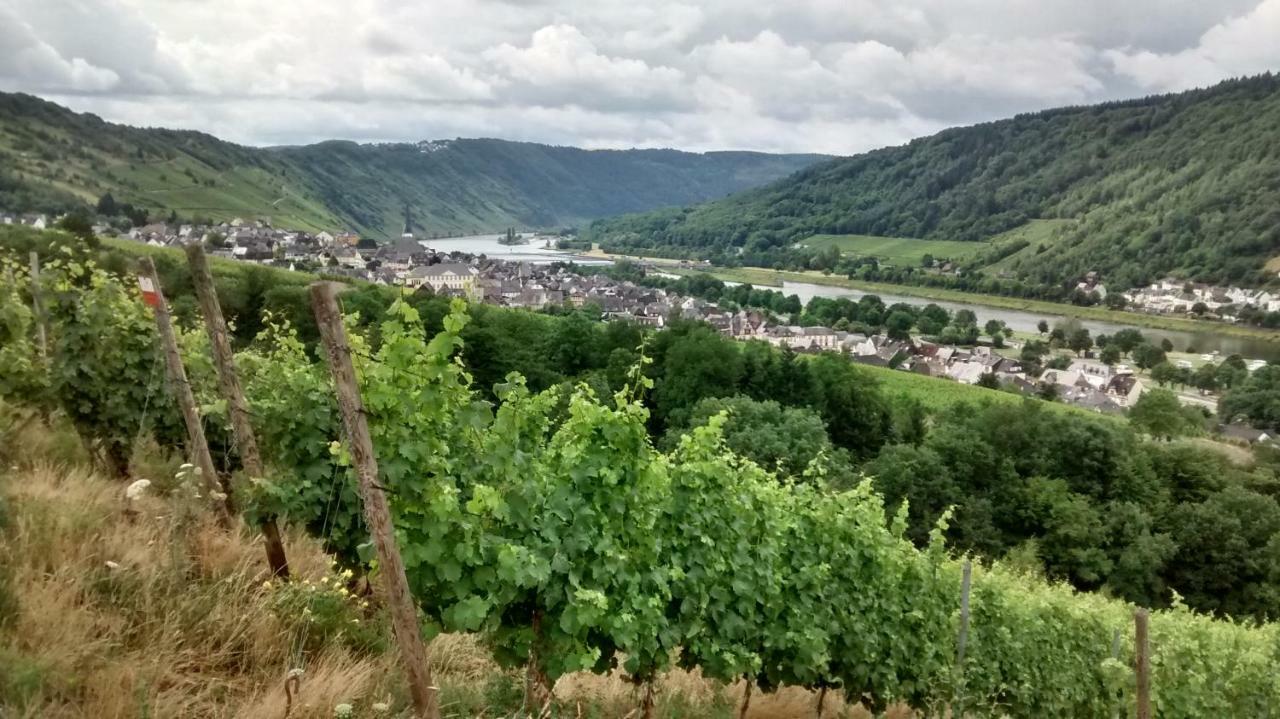 Vila Weingut Sauer-Kettermann Enkirch Exteriér fotografie