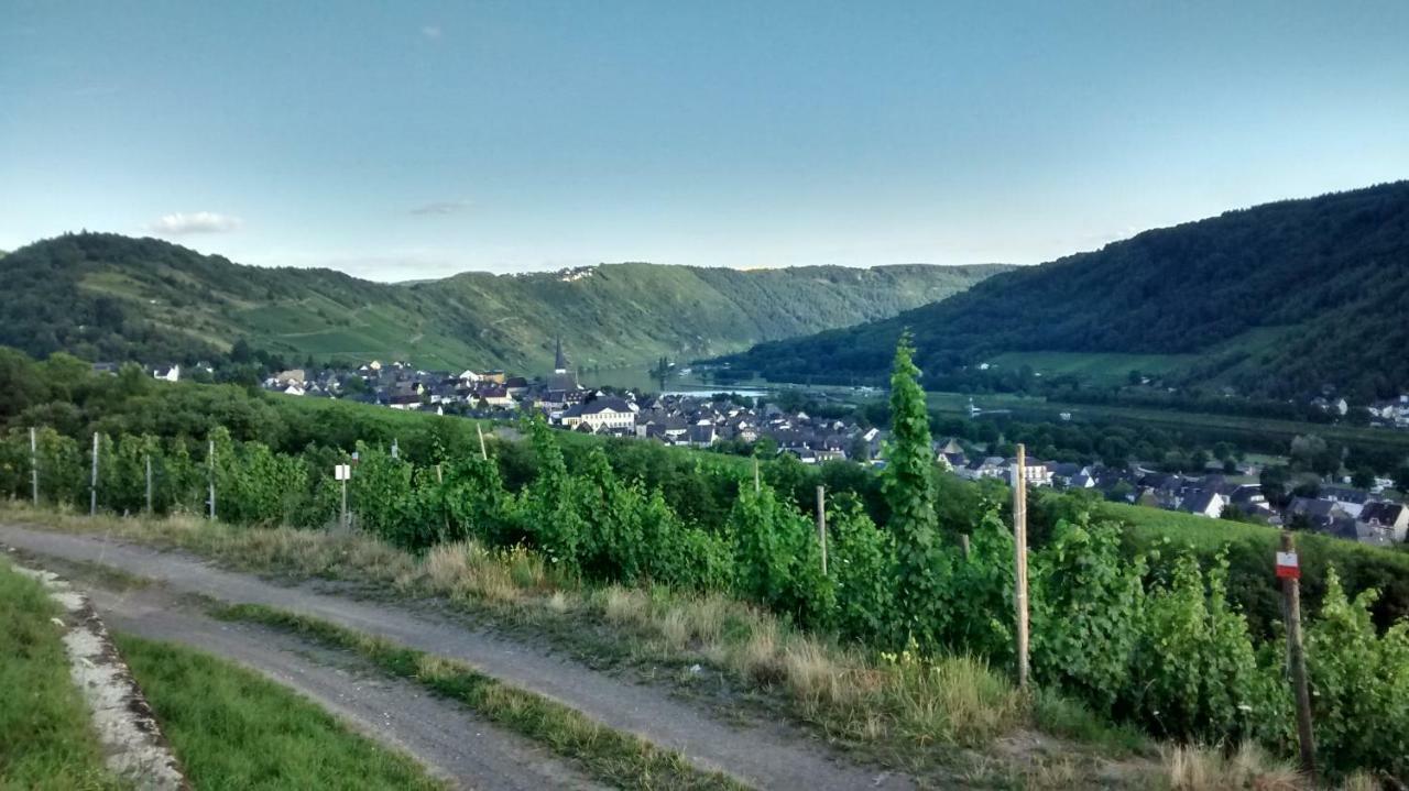 Vila Weingut Sauer-Kettermann Enkirch Exteriér fotografie