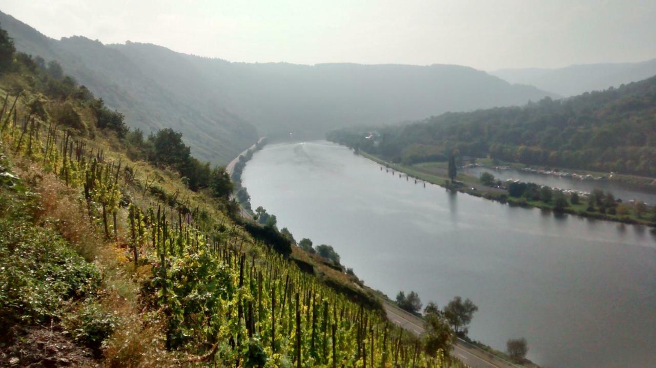 Vila Weingut Sauer-Kettermann Enkirch Exteriér fotografie